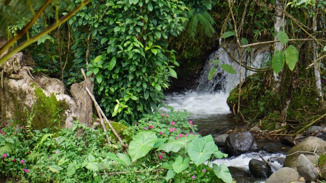 mini-waterfalls