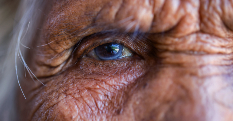 close-up-shot-elderly