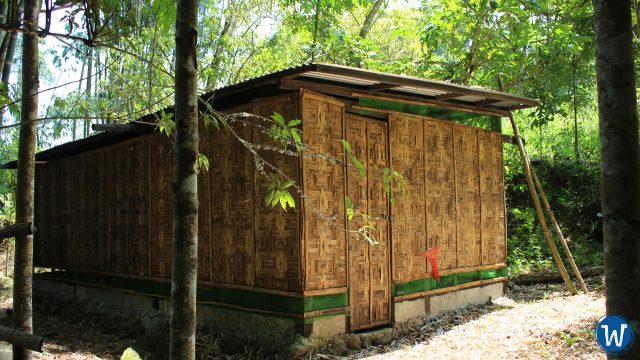 glenalbee-mushrooms-growing-hut