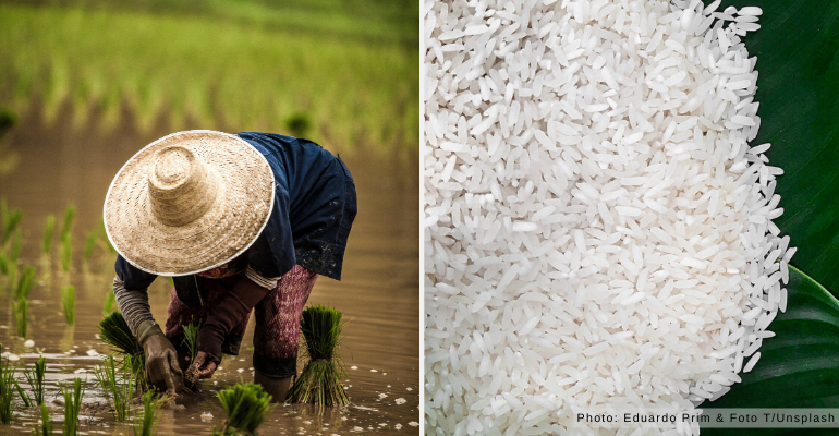 National Rice Awareness Month 2019: A Call To Manage The Philippines’ Rice Production And Consumption