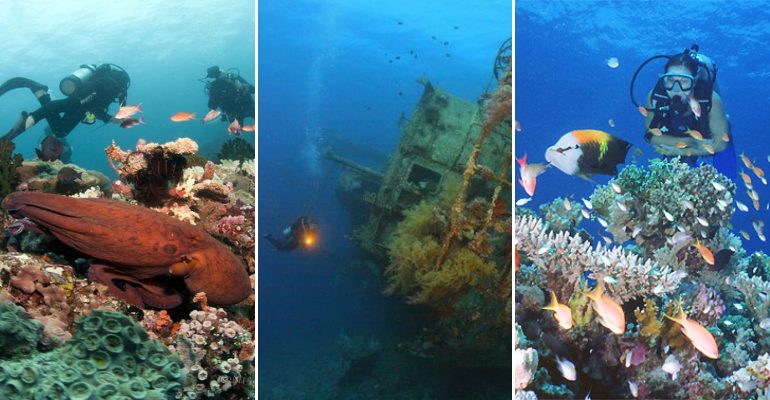 top-diving-spots-in-the-philippines-2020