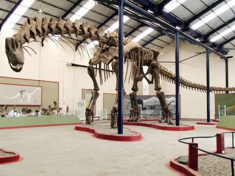 Fossils of oldest-known titanosaur, unearthed in Argentina Britannica