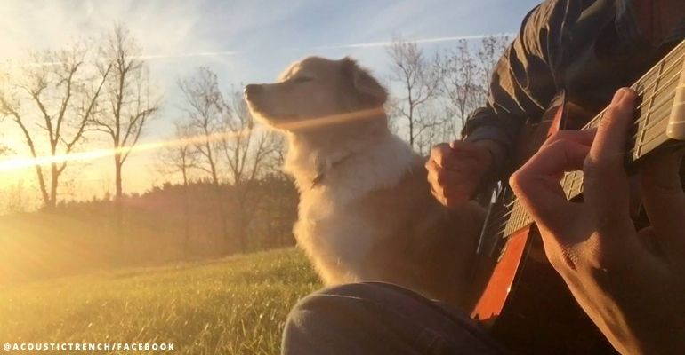acoustic-trench-dog-maple-passed-away