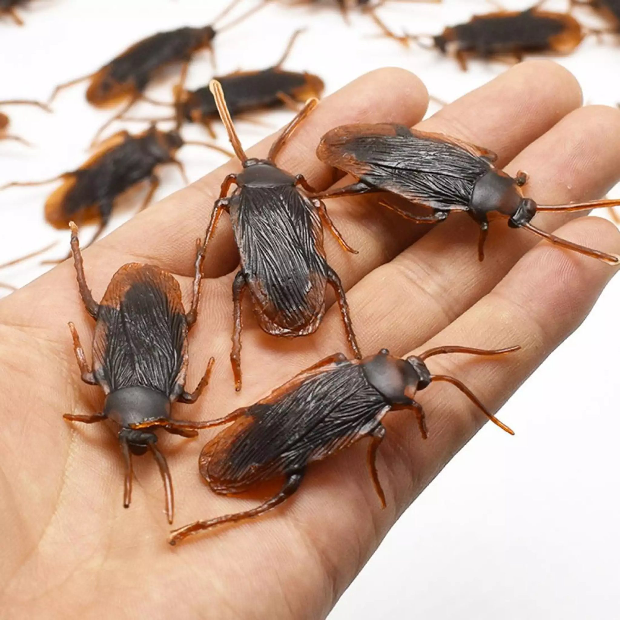 fake-cockroaches 