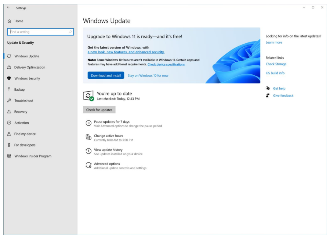 windows-11-update