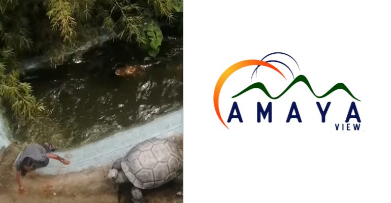 Amaya releases official statement on crocodile incident