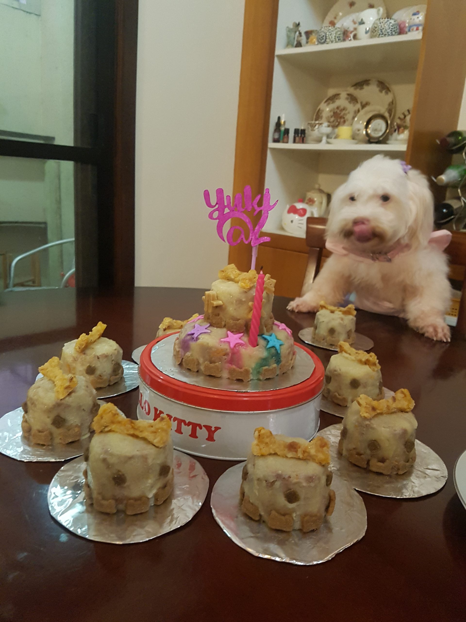 yuki-pupcakes-cdo