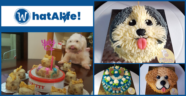 Celebrate your pupper’s birthday with dog-friendly cakes from Pupcakes CDO