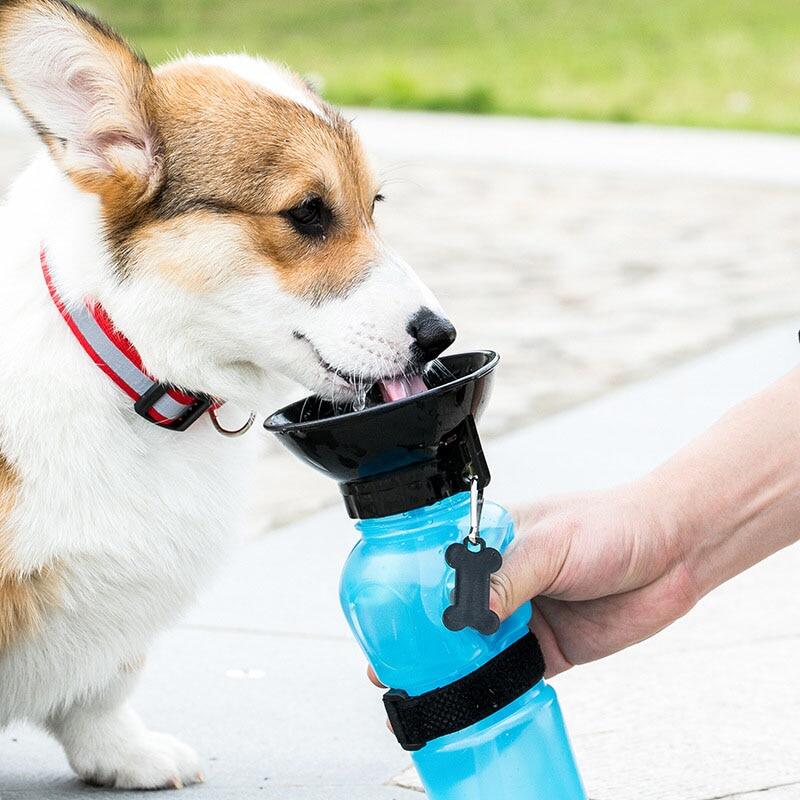 portable-water-squeeze-bottle