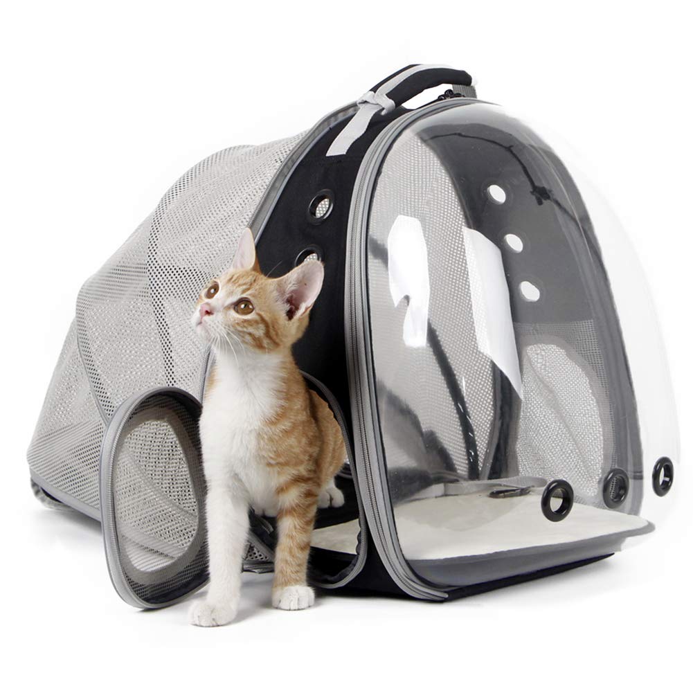 cat-dog-travel-capsule