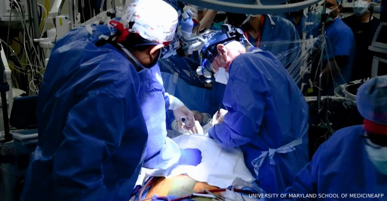 ‘Historic’: US surgeons successfully implant pig heart in human