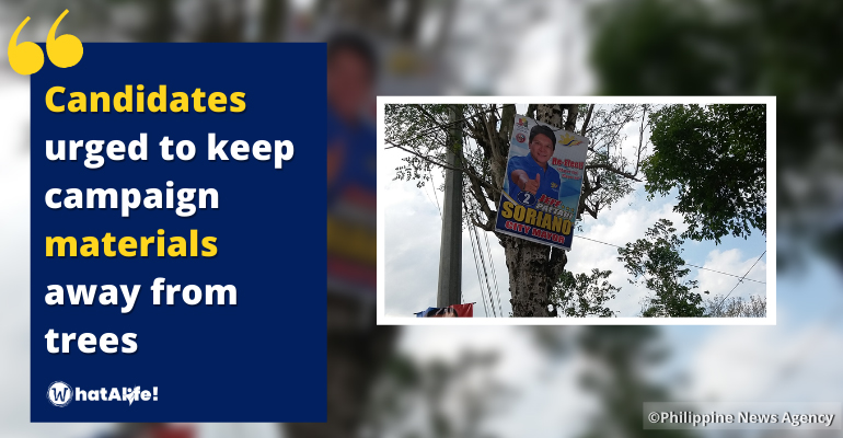clenro urges no campaign materials on trees In cdo
