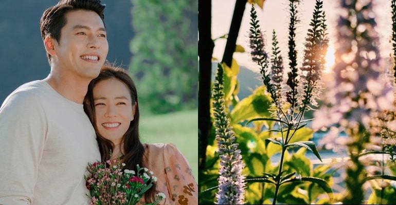 son-ye-jin-and-hyun-bin-announces-pregnancy-with-first-child