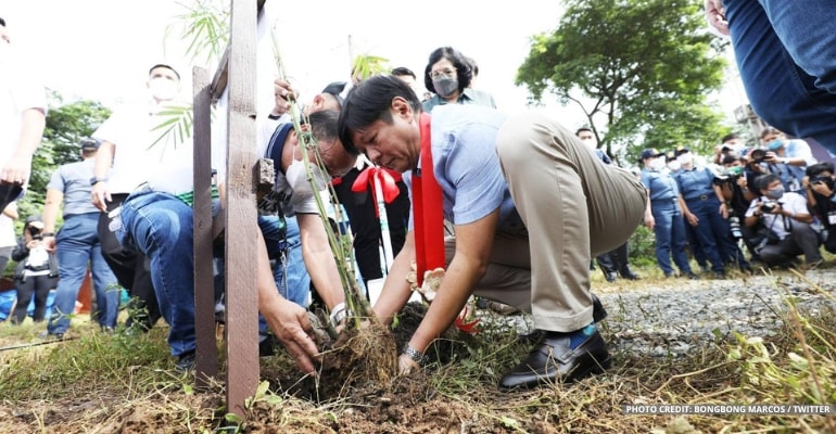 ‘One Earth’: PBBM celebrates 65th birthday with tree planting campaign