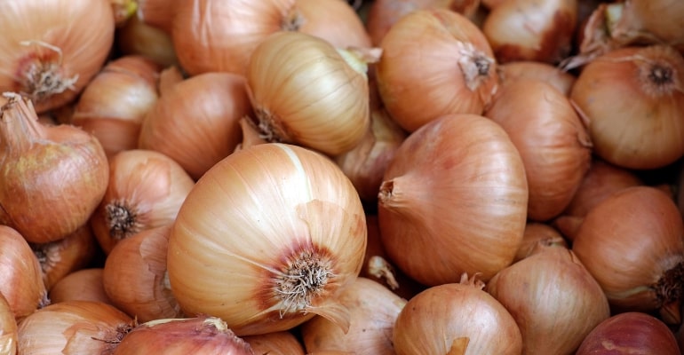 Plant Industry Bureau destroys Php 6 million smuggled onions in Surigao
