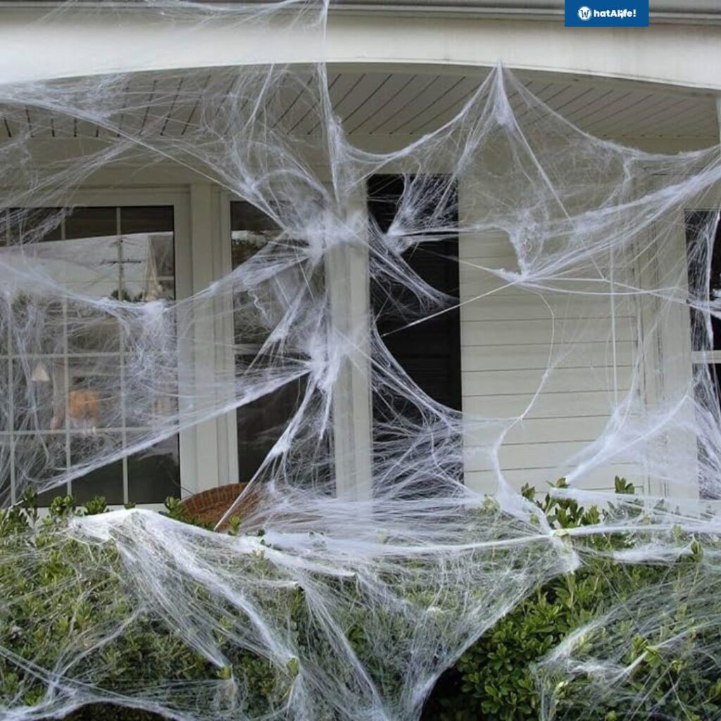 halloween spider webs decor