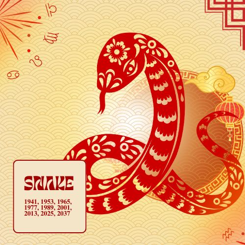 a graphic illustration of a snake designed with chinese-style elements