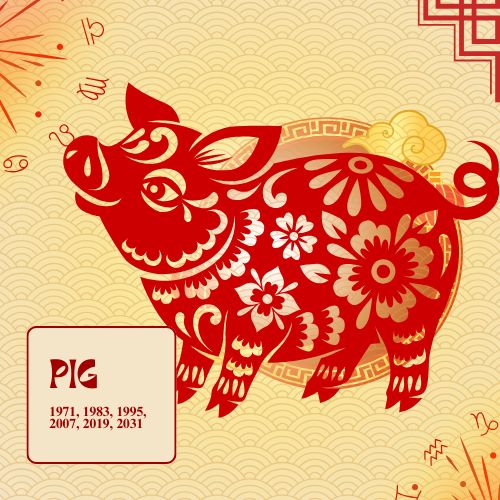 a graphic illustration of a pig designed with chinese-style elements