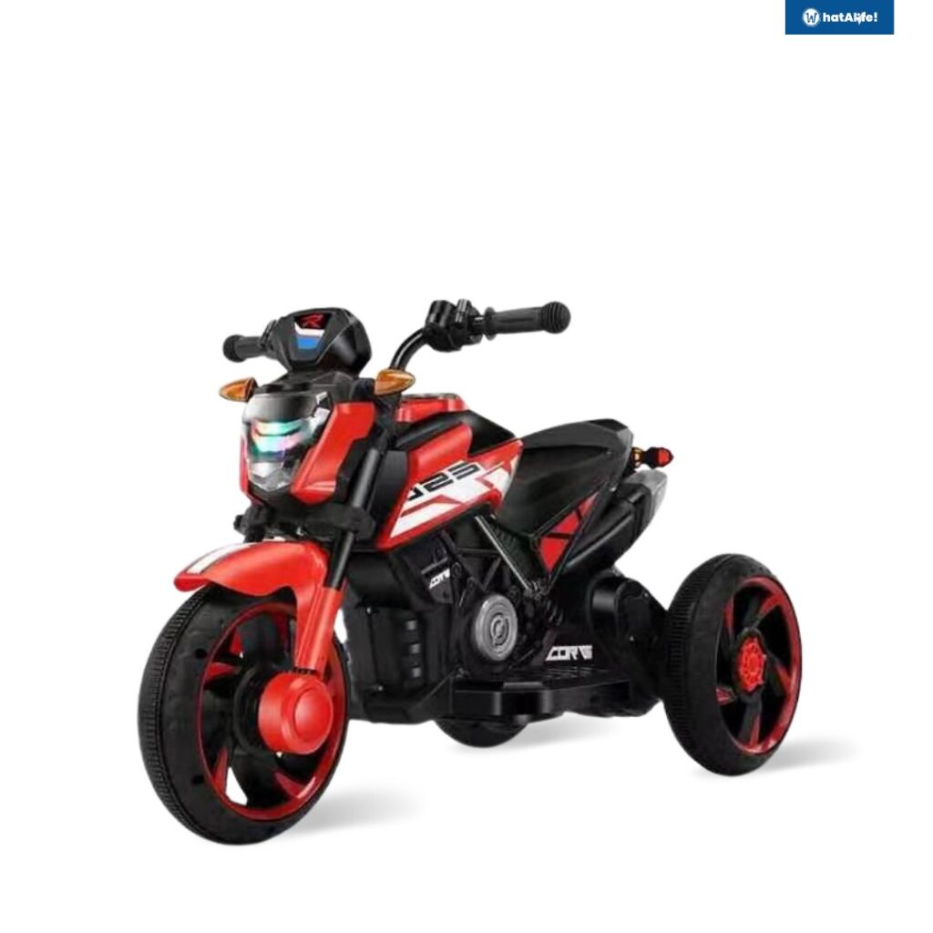 electric motorcycle tricycle