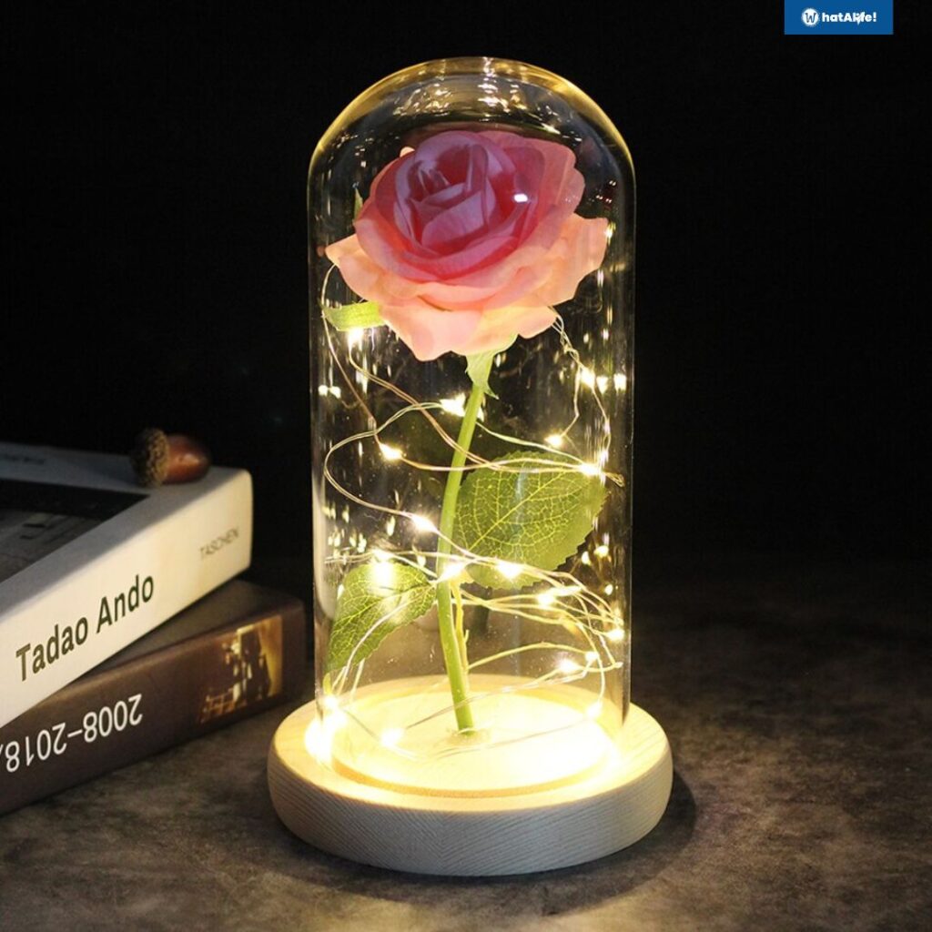 eternal rose with led light in glass dome