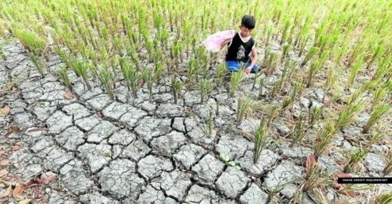 da records 100 m damages in agriculture due to el nino