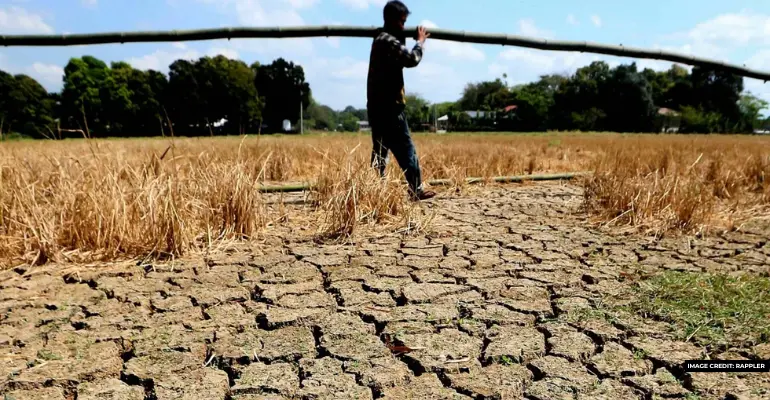 el nino causes p941 million in agricultural damages ndrrmc reports