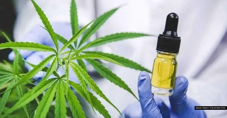 PDEA warns public vs. marijuana flavored vapes