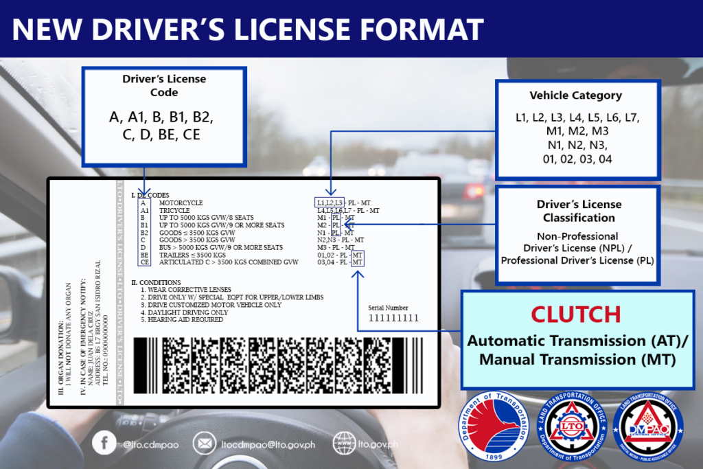 Detailed New Driver's License Format 