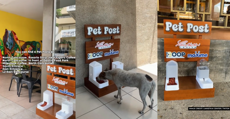 limketkai launches pet posts free water and food stations for pets