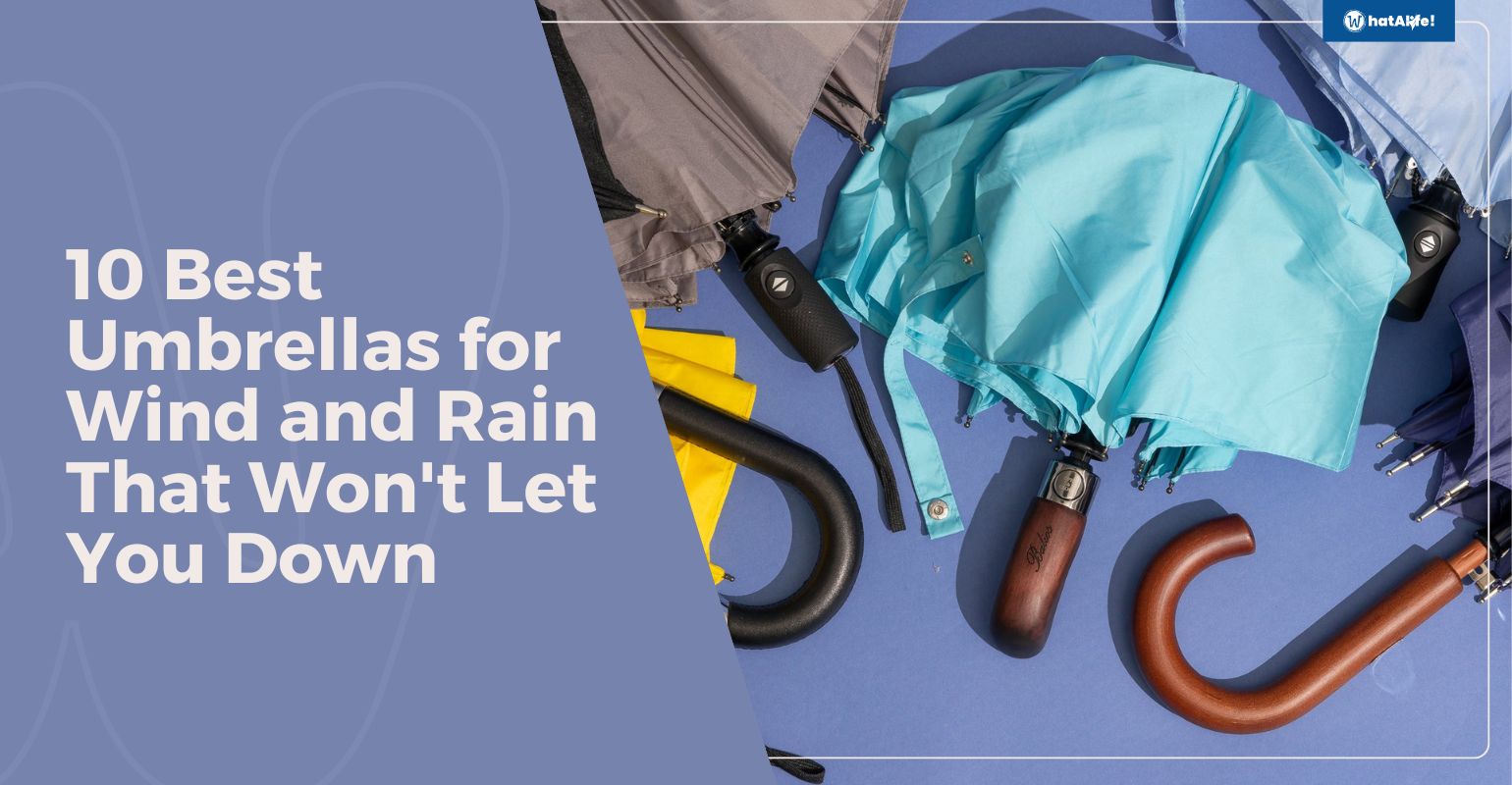 10 Best Umbrellas for Wind and Rain That Won’t Let You Down