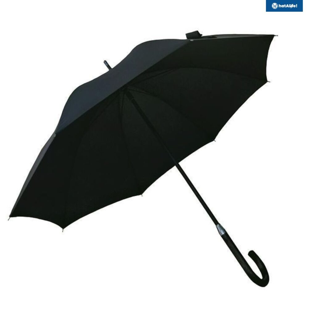 classic umbrella