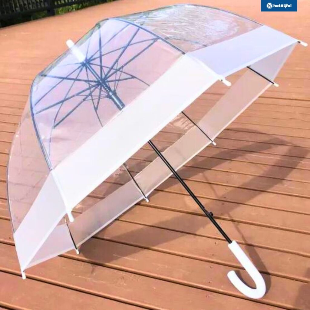 dome umbrella