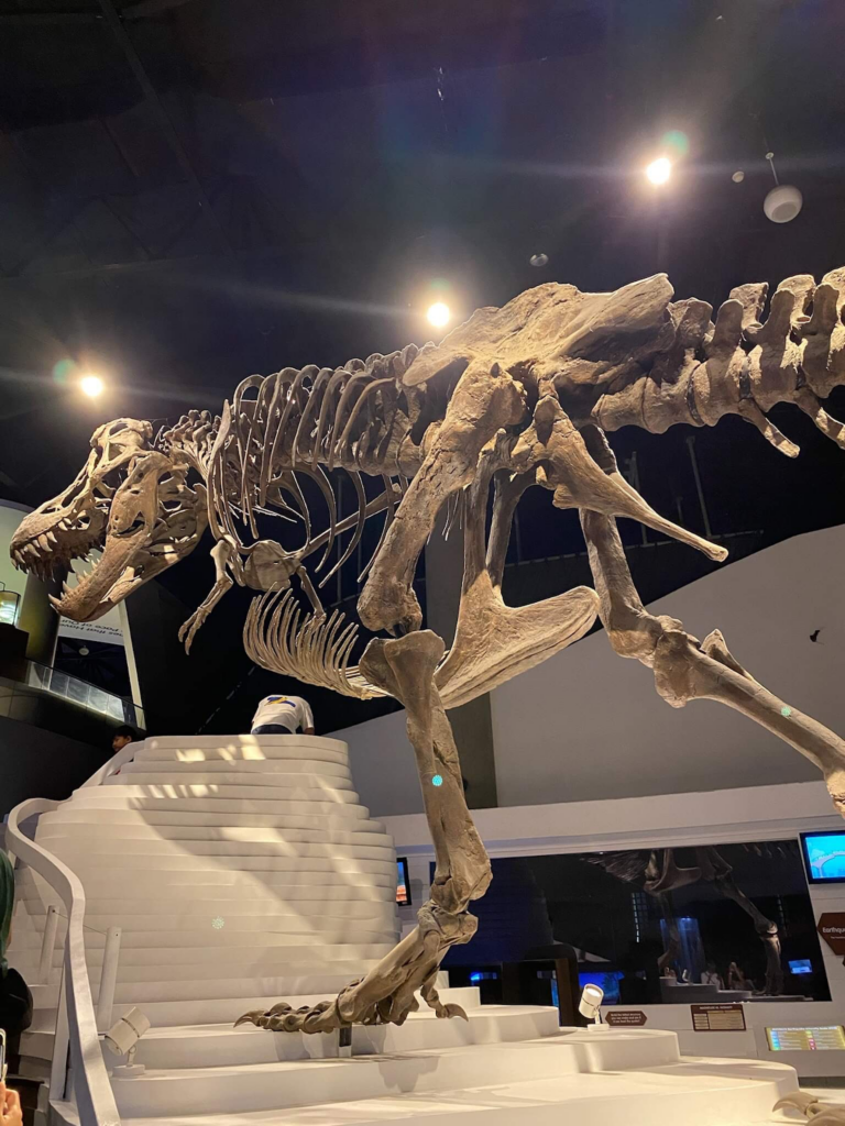 A photo of the T. Rex Exhibit in the Earth Gallery